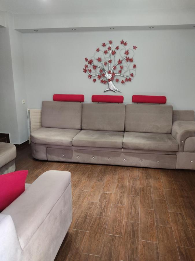 Elsa's House Apartment Arta