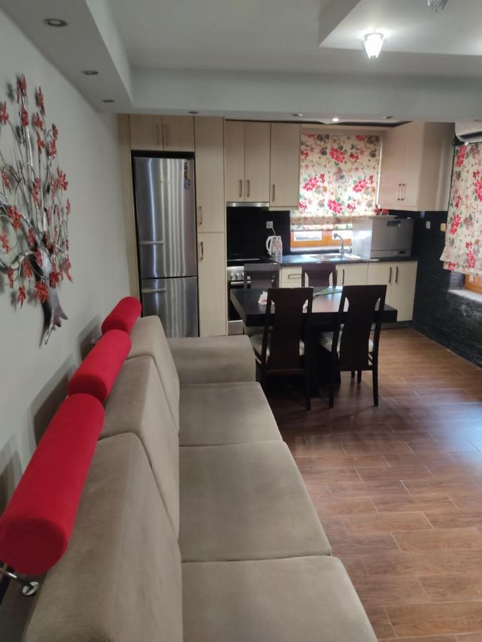 Elsa's House Apartment